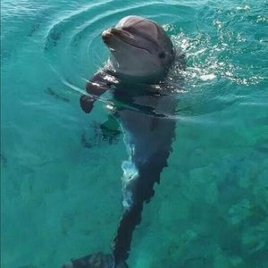 Hi, I’m your posher!